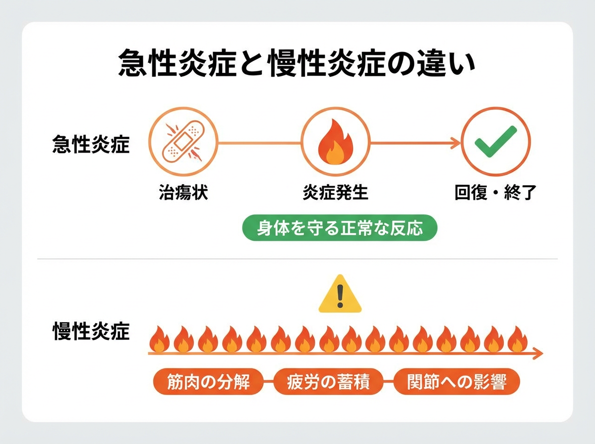 急性炎症と慢性炎症の違い