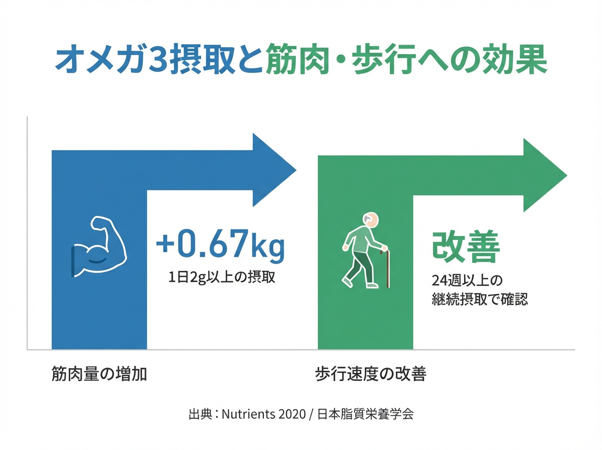【図解⑥】オメガ3摂取と筋肉・歩行への効果(データ)