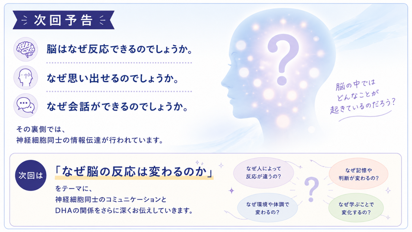 次号予告:脳はなぜ思い出したり会話したり反応できるのでしょうか