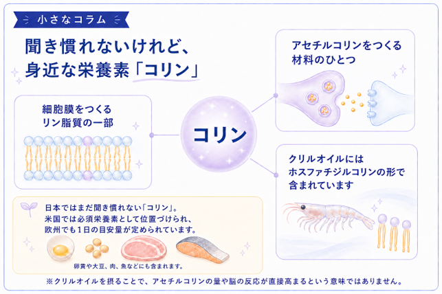 聞き慣れないけれど身近な栄養素「コリン」