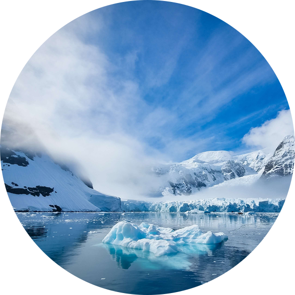 クリルを育む南極のきれいな海